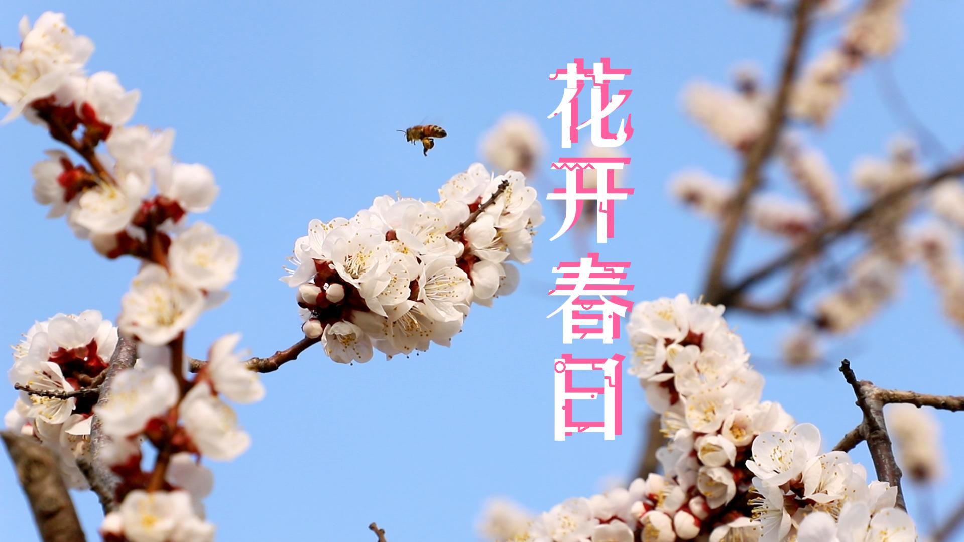 "医"起看世界山一大学子英国访学Vl