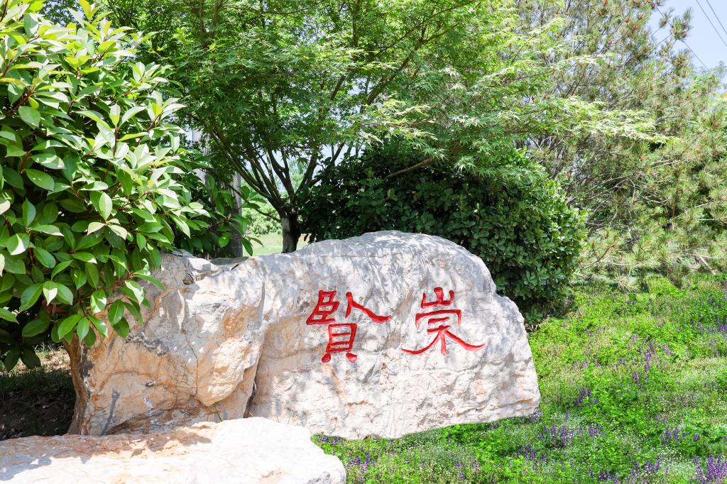 全景校园