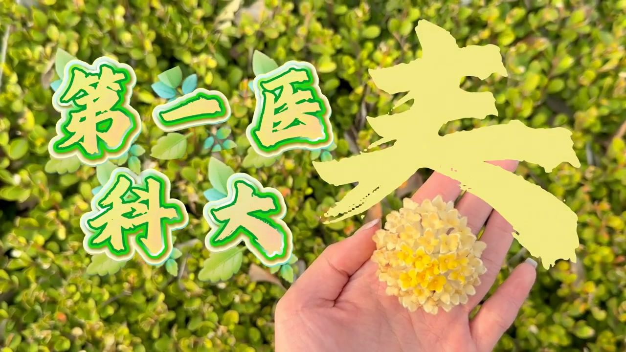 双胞胎姐妹“文雅” 一同考进临床医学