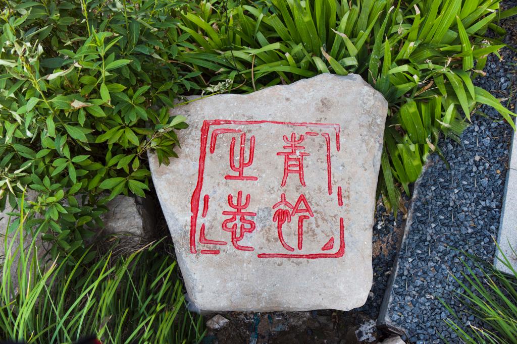 鲁ICP备19027497号-1 鲁