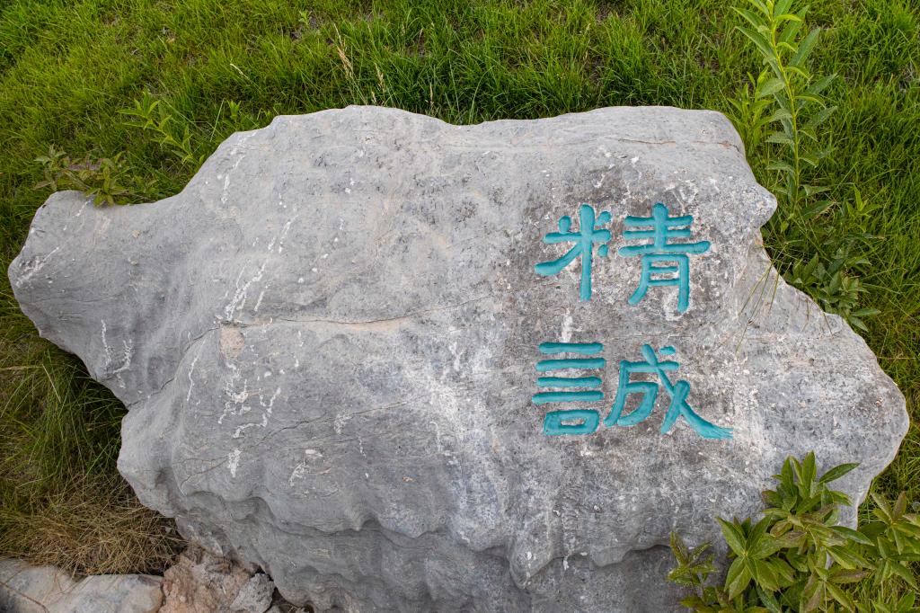 星空官方版网站登录入口