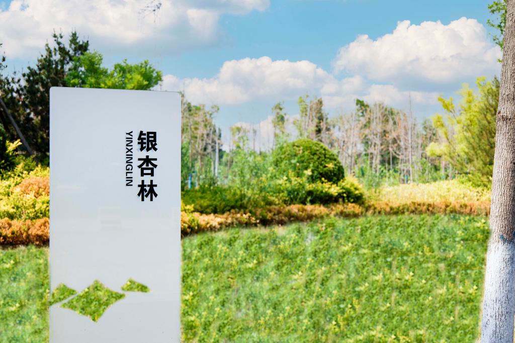 全景校园
