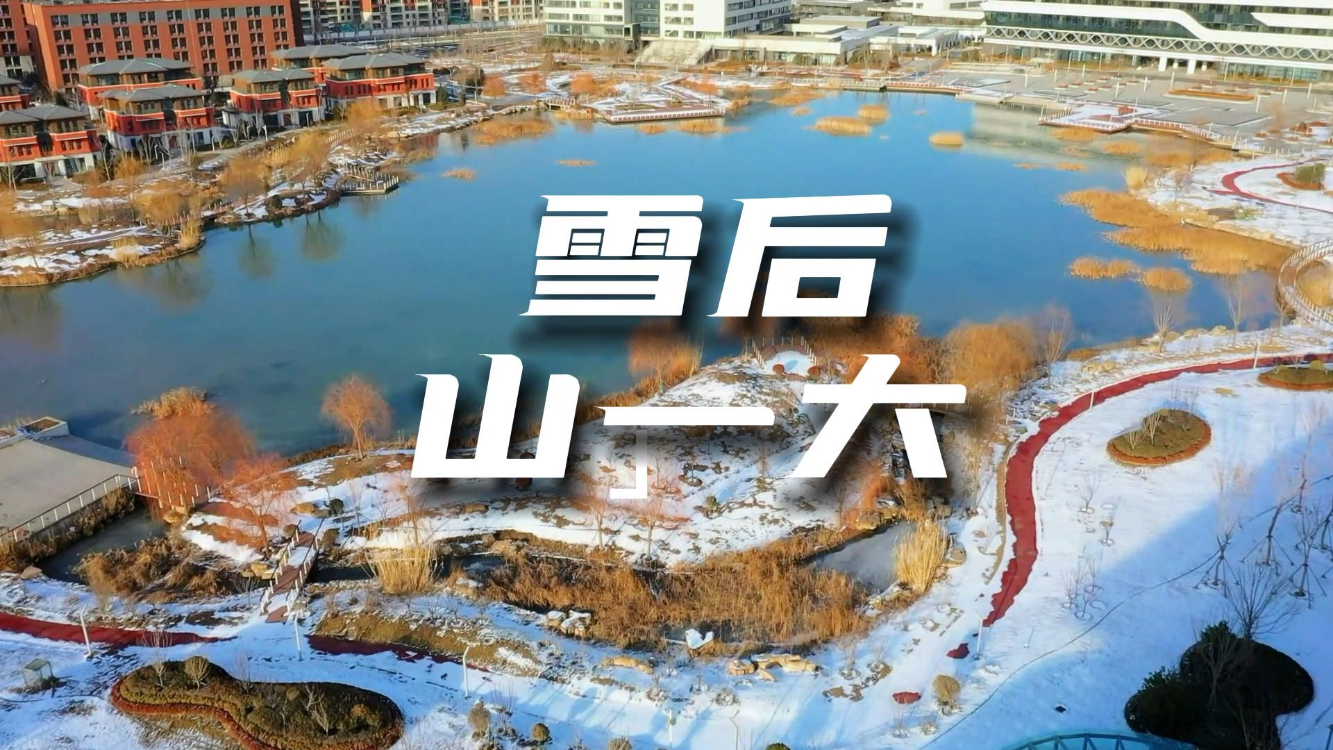 党建引航 科教融合助推健康山东建设