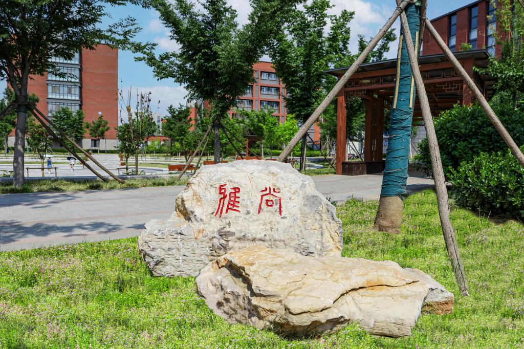 星空官方版网站登录入口
