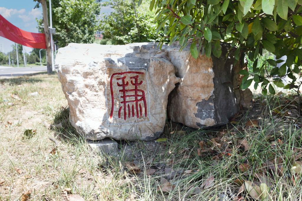 全景校园