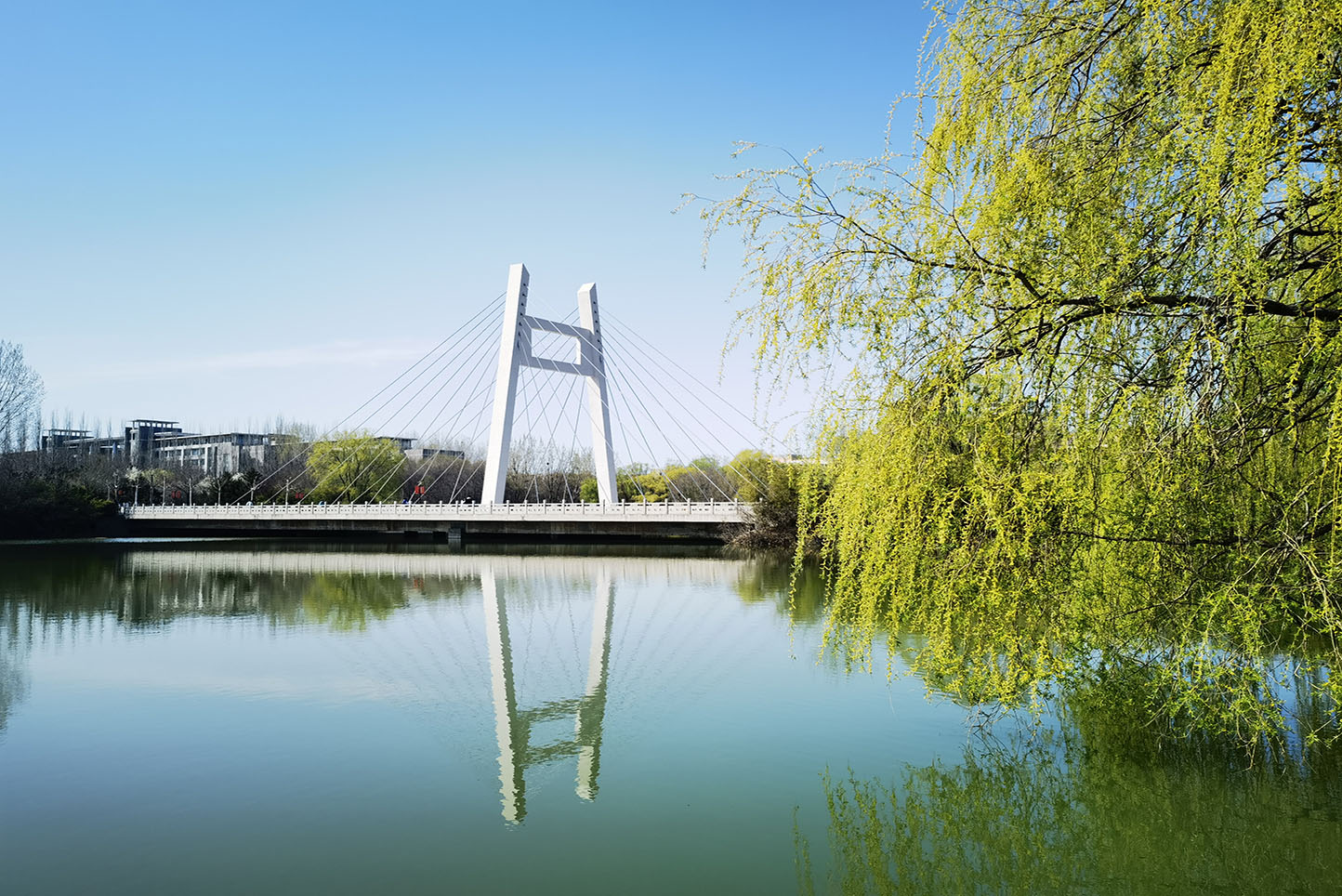 全景校园