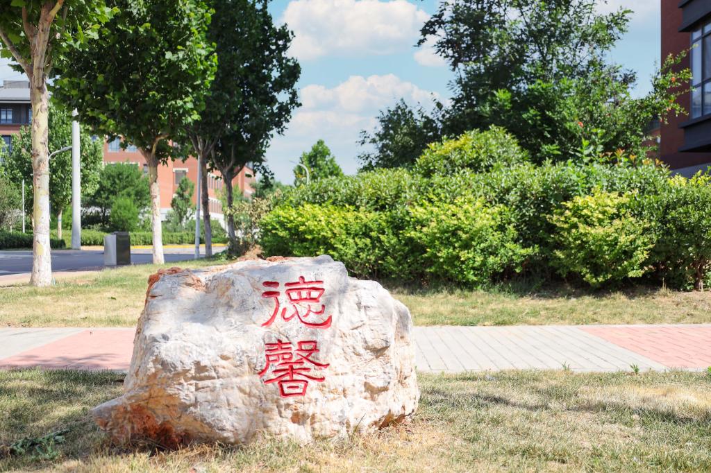 星空官方版网站登录入口操作说明