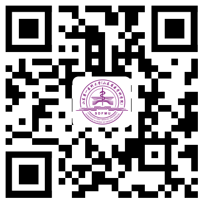 下载专区downloadMORE