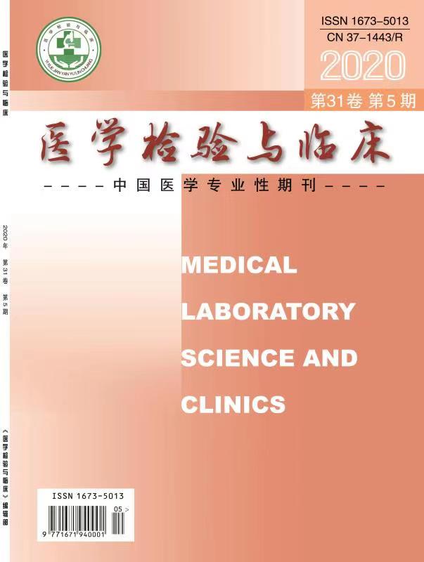 星空官方版网站登录入口限时优惠（山东